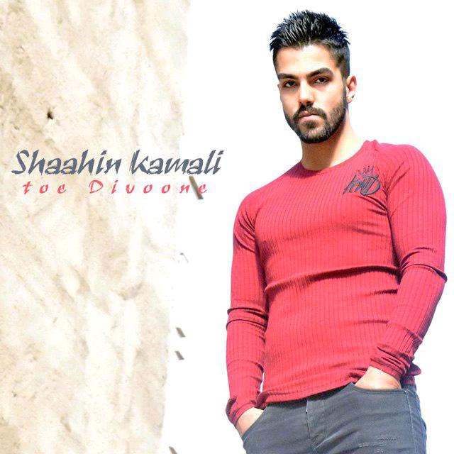 دانلود آهنگ توئه دیوونه